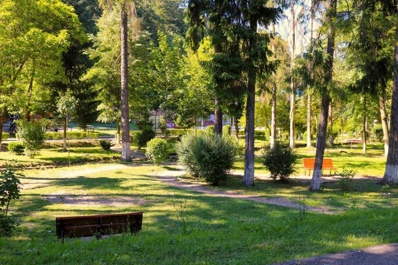 Apartament Iulia Geoagiu Băi Exterior photo