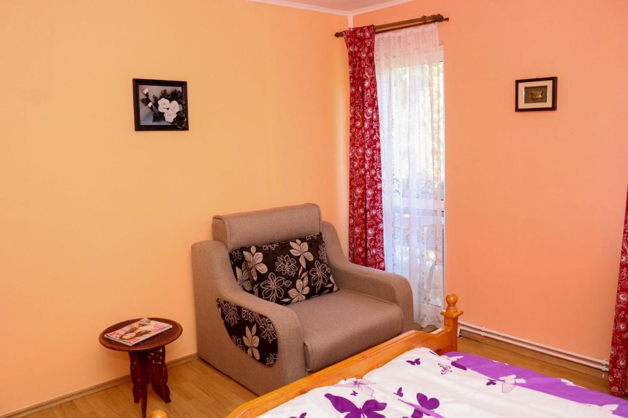 Apartament Iulia Geoagiu Băi Exterior photo