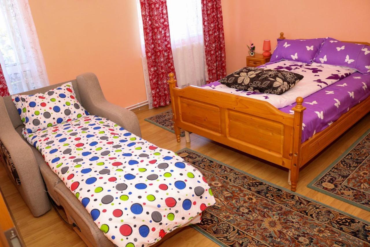 Apartament Iulia Geoagiu Băi Exterior photo