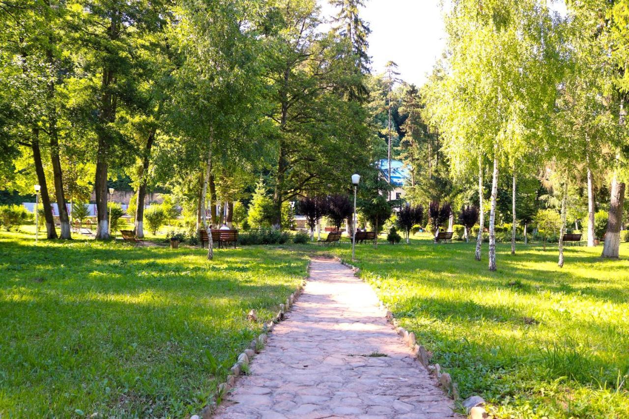 Apartament Iulia Geoagiu Băi Exterior photo