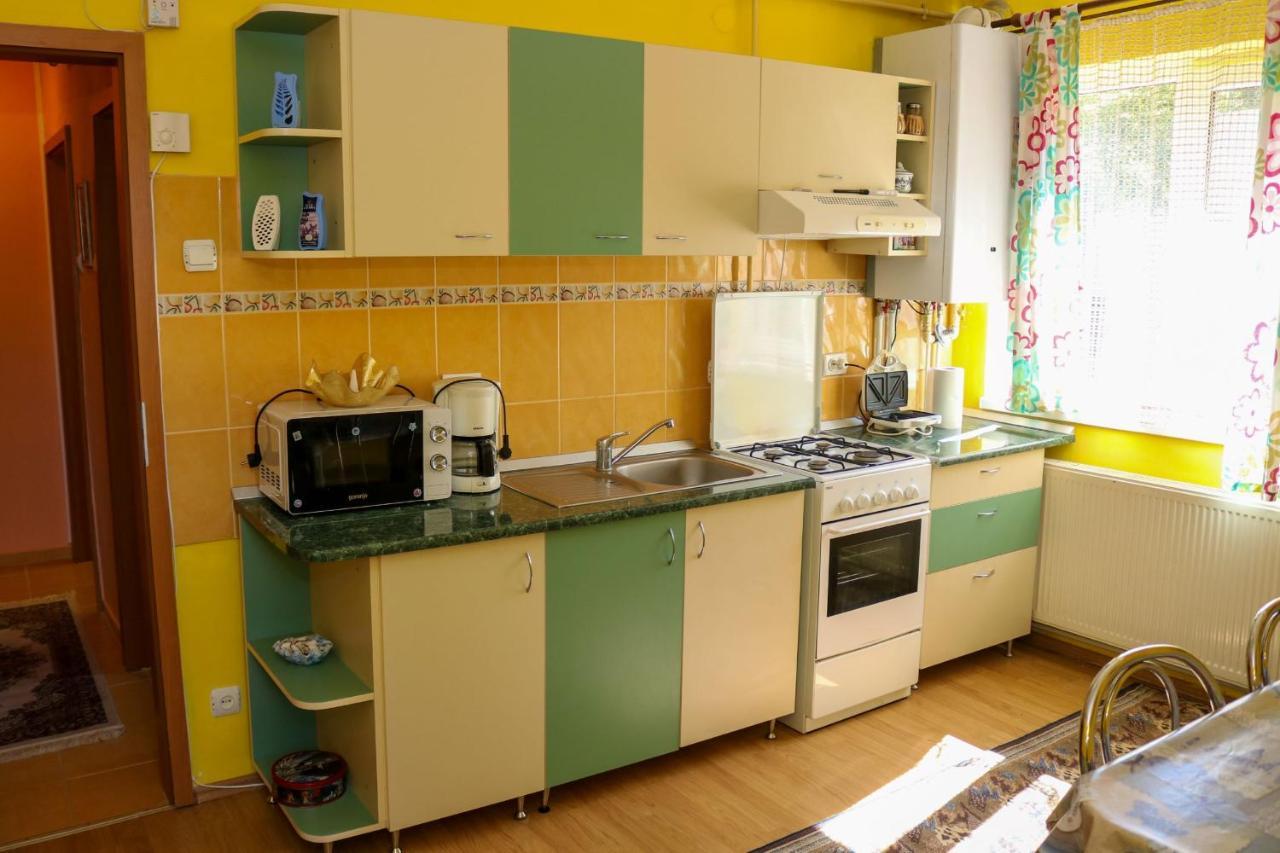Apartament Iulia Geoagiu Băi Exterior photo