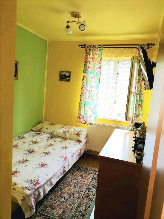 Apartament Iulia Geoagiu Băi Exterior photo
